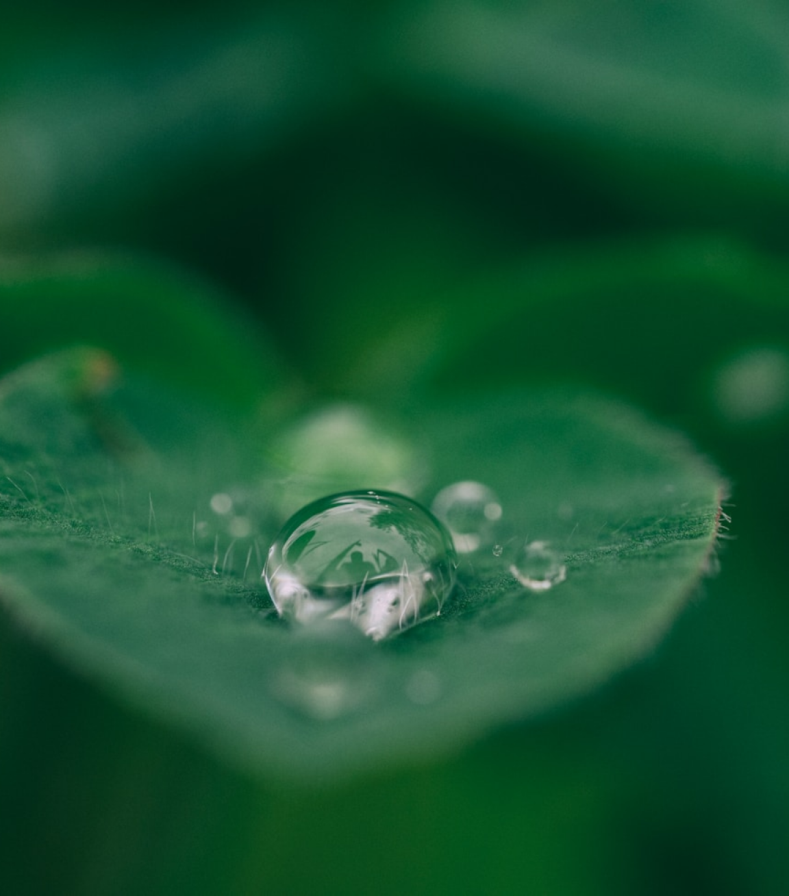 Sustainability & Environmental Impact